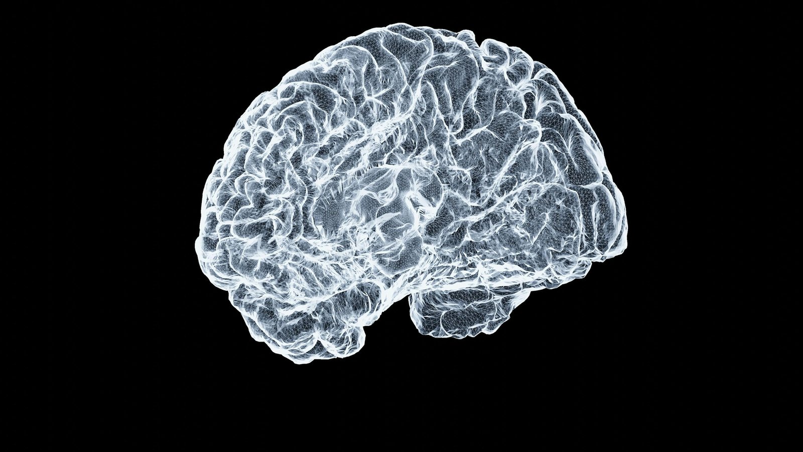 Brain neurons
